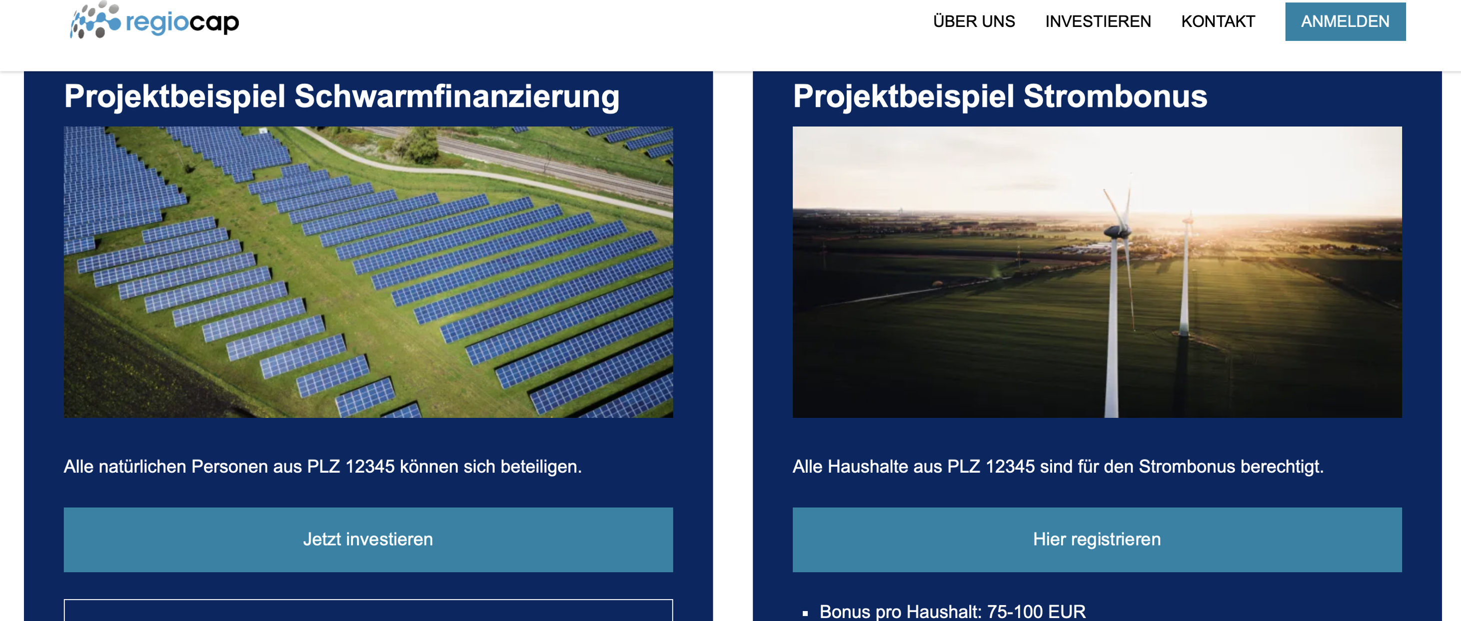  Projektentwickler Stadtwerke & EVU Bürgerwindparks Genossenschaften Schwarmfinanzierung  White-Label-Plattform